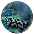 常久佩戴，不易褪色